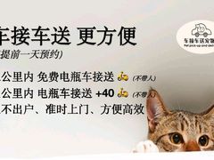 -车接车送·寄养洗护·德文猫舍(大宁店)