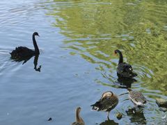 -石家庄市动物园