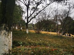 -沙河三洞古桥公园