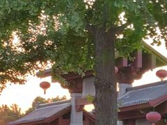 -大雁塔北广场音乐喷泉