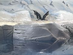 -上海海洋水族馆