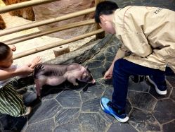 -Zoolung Zoolung动物主题公园(海信广场店)