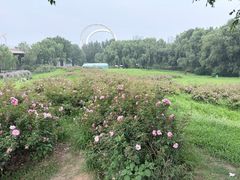 -长白岛森林公园