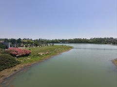 -上海海湾国家森林公园