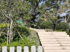-飞凤山奥体公园