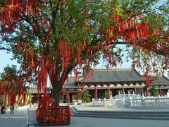 -祥源·阜阳生态乐园