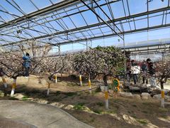 -鹫峰国家森林公园