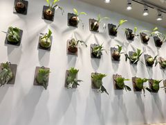 -1861意大利餐厅(文化广场店)