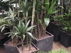-秦美花卉(天朗·莱茵小城2期店)