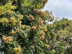 -艾溪湖湿地公园