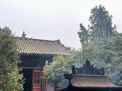 -洛阳白马寺