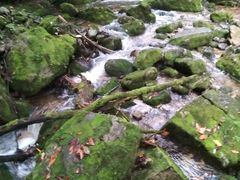 -陕西省红河谷森林公园