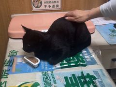 -瑞派宠物医院·24h·骨外科·皮肤科·全科宠物医疗转诊中心(沈阳浑南院)