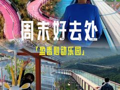 -盈香心动乐园