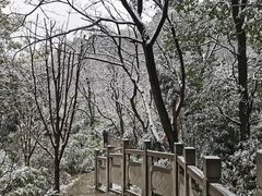 -南山植物园