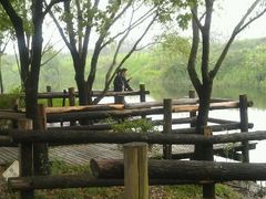 android_upload_pic-新江湾城公园