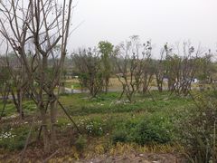 -白鹭湾湿地公园