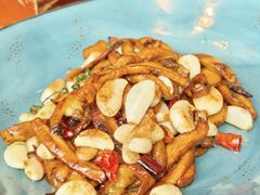 干椒牛肝菌-翠湖宾馆·中餐厅