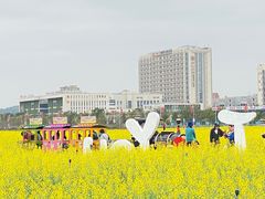-光明小镇欢乐田园