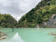-狮子沟牧场