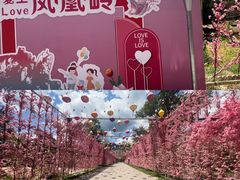 -北京凤凰岭