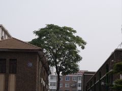 -天津外国语大学（马场道校区）食堂