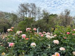 -人民公园(罗湖区)