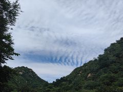 -大岭沟猕猴桃谷风景区