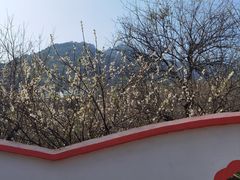 -广州市流溪河国家森林公园