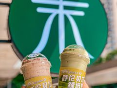 -茉酸奶(春熙路店)