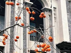 -古德寺