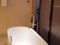 -苏州金鸡湖文博诺富特酒店