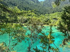 -九寨沟-树正沟