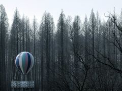 -黄海国家森林公园