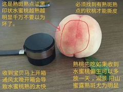 -田园东方蜜桃村的田野营地