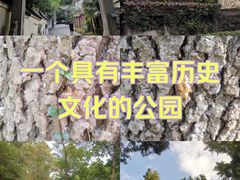 -北极阁公园