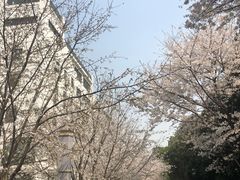 -武汉大学-樱园