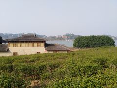 -杏花村文化旅游区