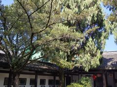 -江心屿景区