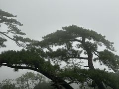 -罗田天堂寨风景区