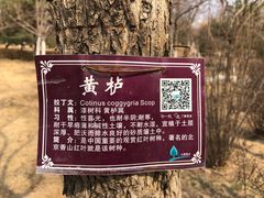 -燕郊植物园