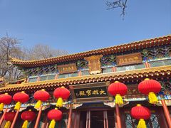-高尔山公园