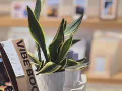 -方快-照相馆(金桥国际店)