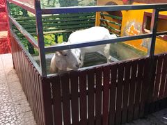 -上海大自然野生昆虫馆(东方明珠·爬宠昆虫探索中心)