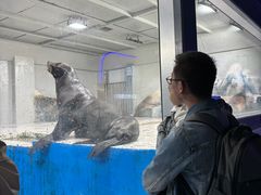 -大连圣亚海洋世界