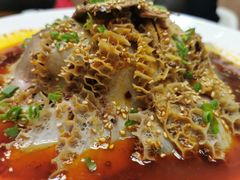 -老江南春·中国龙菜(衡山路店)