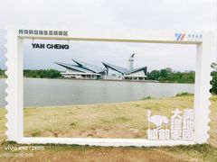 -盐城丹顶鹤湿地生态旅游区