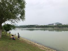 -羊山湖公园