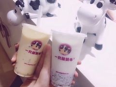 -一只酸奶牛(八一路店)