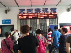-天河体育中心游泳馆